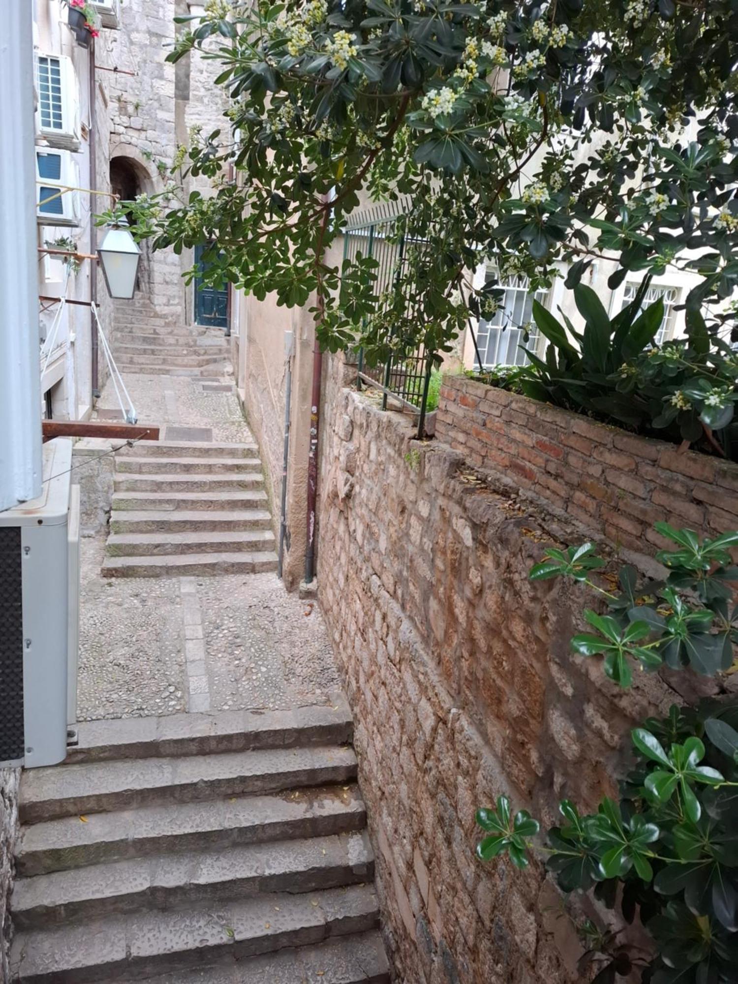 Studio Ella Dubrovnik Exteriör bild